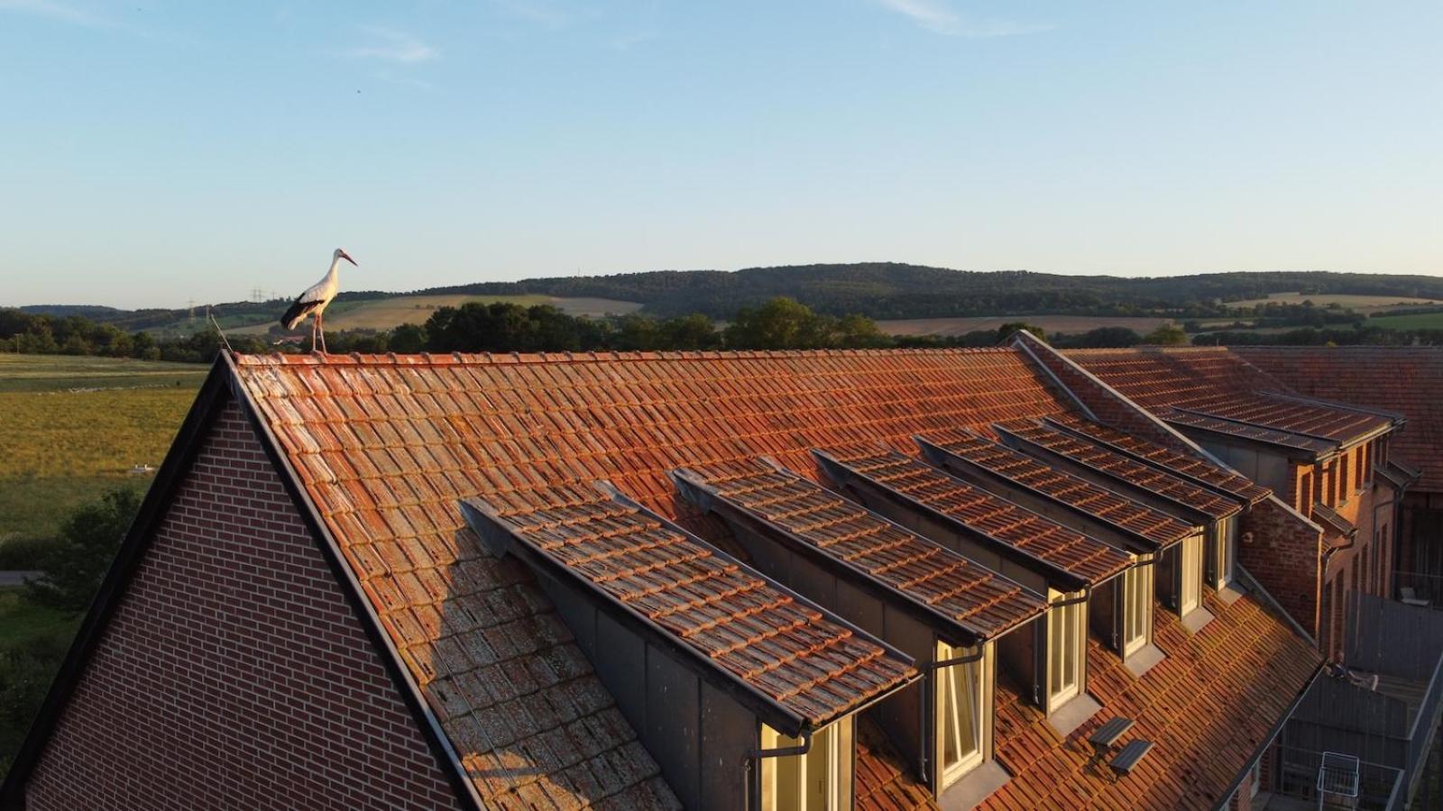 Biohotel Stiftsgut Wilhelmsgluecksbrunn Creuzburg Екстер'єр фото